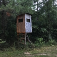 19.34 &nbsp; - Acres images 4