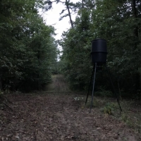 19.34 &nbsp; - Acres images 5