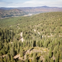 Timbered Building Lot Near the Payette River images 1
