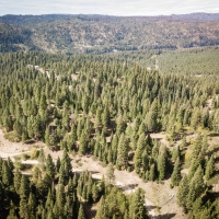 Timbered Building Lot Near the Payette River images 5