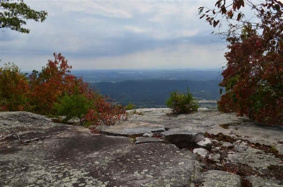 Unrestricted Recreational Mountain Land For Sale in Northeast TN featured image