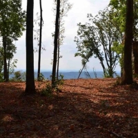 Unrestricted Recreational Mountain Land For Sale in Northeast TN images 4