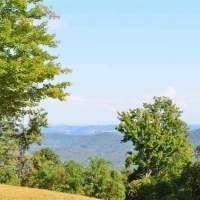 Unrestricted Recreational Mountain Land For Sale in Northeast TN images 5