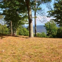 Unrestricted Recreational Mountain Land For Sale in Northeast TN images 6