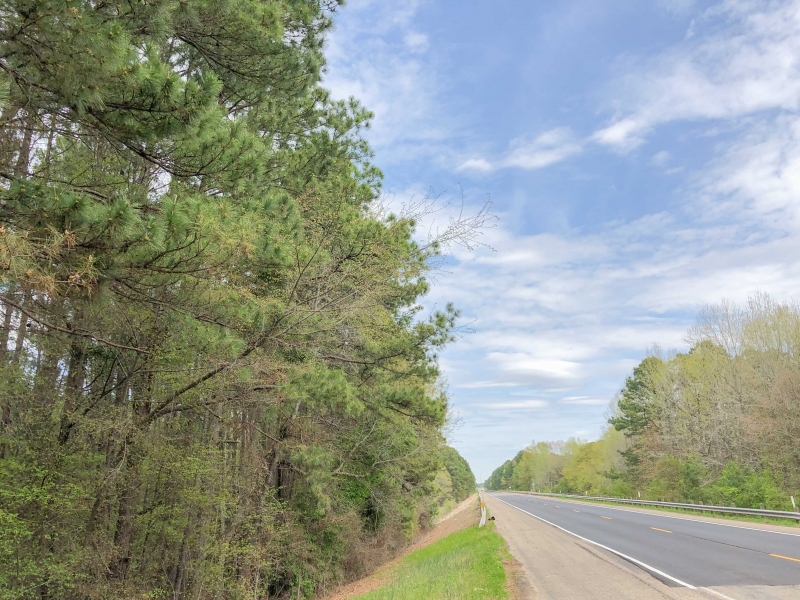 463 Acres &nbsp; Hwy 67 &nbsp; Tract 1003 featured image