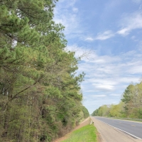 463 Acres &nbsp; Hwy 67 &nbsp; Tract 1003