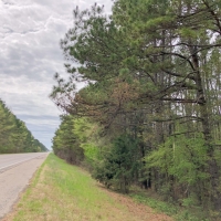 463 Acres &nbsp; Hwy 67 &nbsp; Tract 1003 images 3