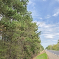 463 Acres &nbsp; Hwy 67 &nbsp; Tract 1003 images 6