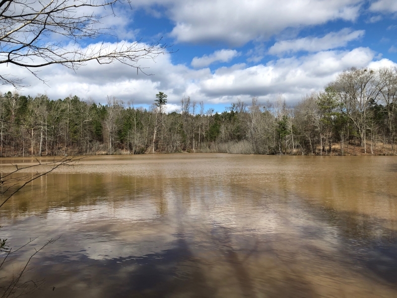 123 AC Very Convenient to Macon featured image