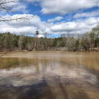 123 AC Very Convenient to Macon