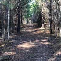123 AC Very Convenient to Macon images 2