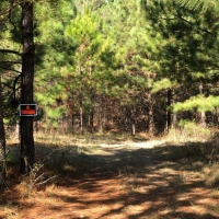 123 AC Very Convenient to Macon images 6