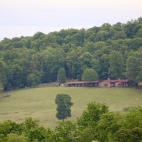 Live Water Ranch with Two Spring-Fed Lakes For Sale in Huntsville  AR images 3