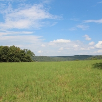 Live Water Ranch with Two Spring-Fed Lakes For Sale in Huntsville  AR images 4