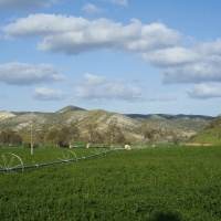 La Panza Ranch