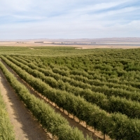 La Panza Ranch images 4