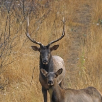 Ghost Ranch images 3