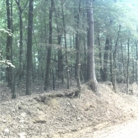 100 Acres in Carroll County in McCarley  MS