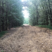 100 Acres in Carroll County in McCarley  MS images 3