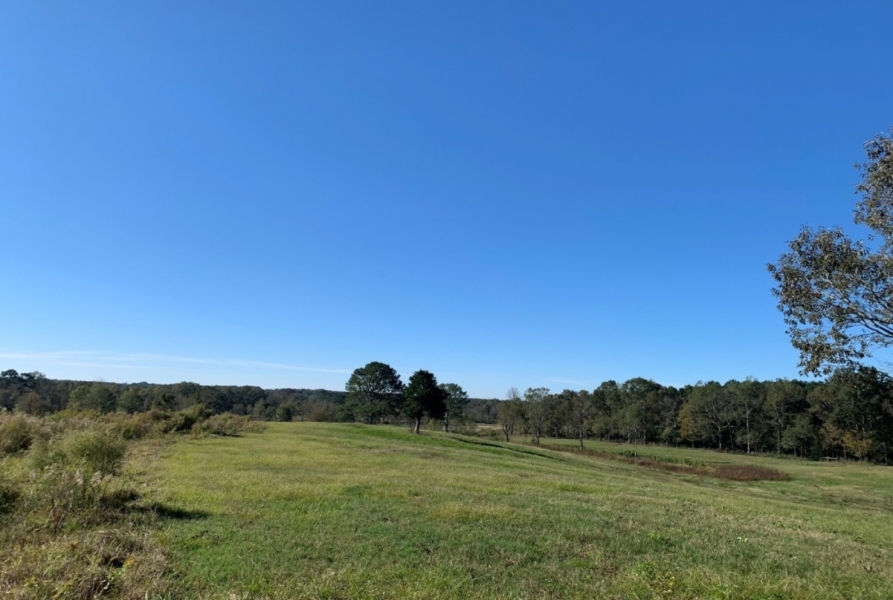 150 Acres in Neshoba County at 10550 County Road 109 in Union  MS featured image