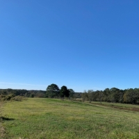 150 Acres in Neshoba County at 10550 County Road 109 in Union  MS