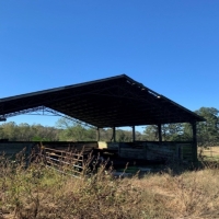 150 Acres in Neshoba County at 10550 County Road 109 in Union  MS images 3