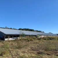 150 Acres in Neshoba County at 10550 County Road 109 in Union  MS images 4