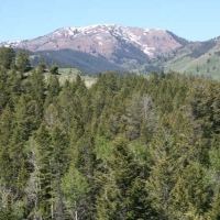 Halfway House Ranch - Crow Creek  Id images 2
