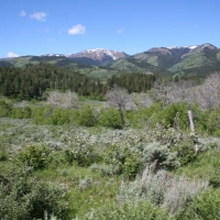 Halfway House Ranch - Crow Creek  Id images 4