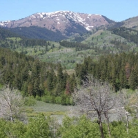Halfway House Ranch - Crow Creek  Id images 5