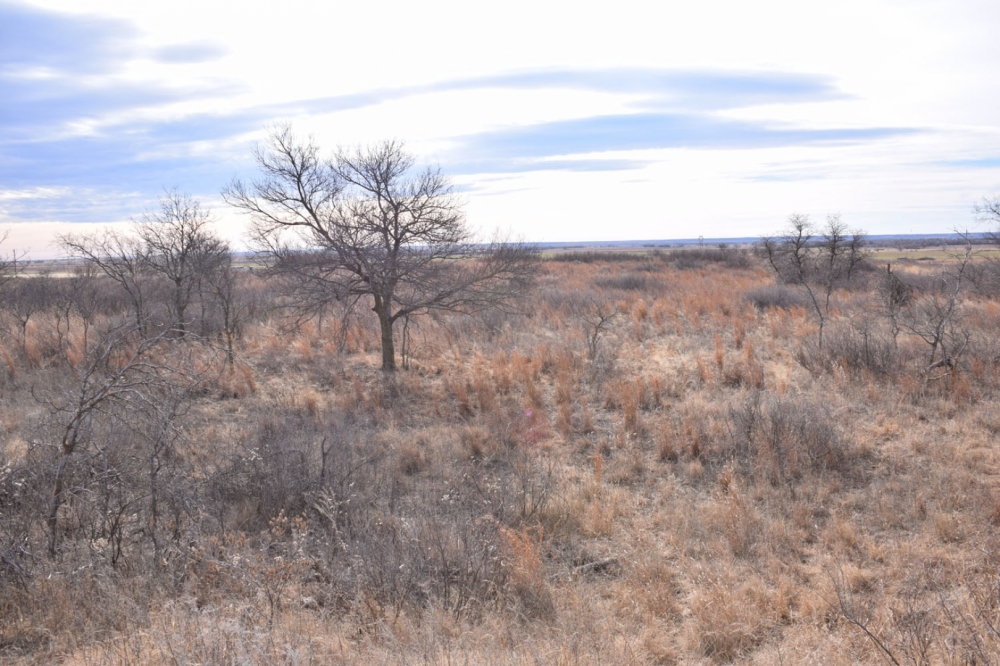 Hunting Property Wheeler County featured image