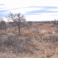 Hunting Property Wheeler County