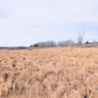 Hunting Property Wheeler County images 4
