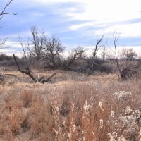 Hunting Property Wheeler County images 6