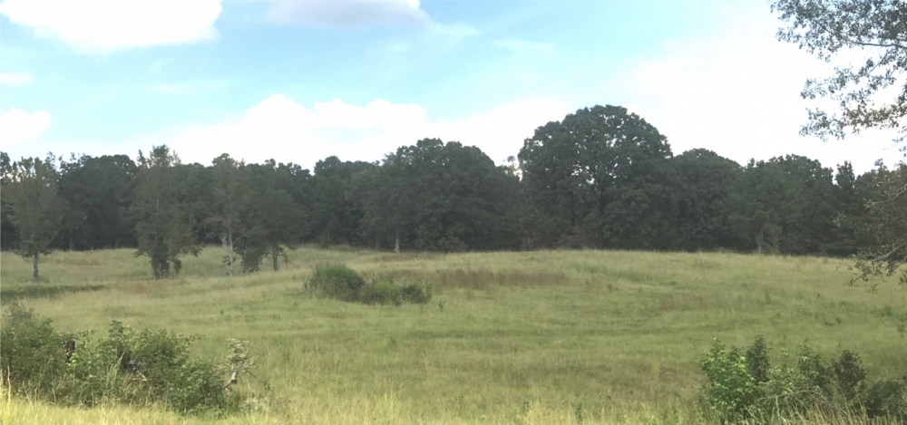 120 Acres in Carroll County in McCarley  MS featured image