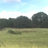 120 Acres in Carroll County in McCarley  MS