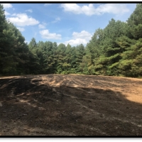 120 Acres in Carroll County in McCarley  MS images 3