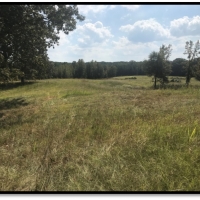 120 Acres in Carroll County in McCarley  MS images 6