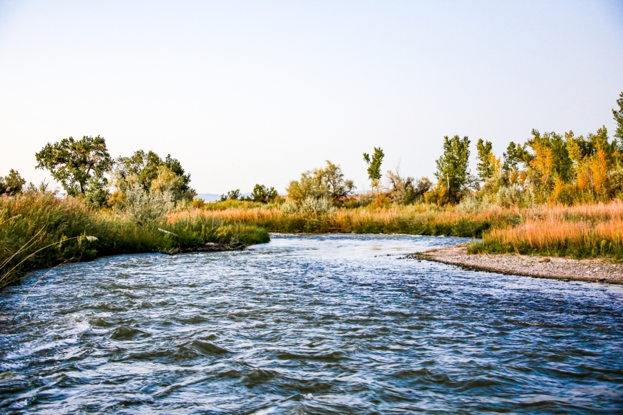 Montrose Riverbend Farm featured image