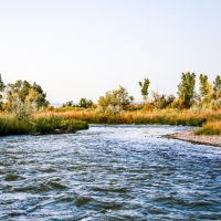 Montrose Riverbend Farm