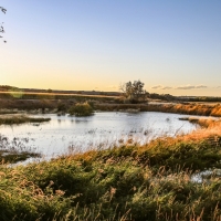Montrose Riverbend Farm images 5