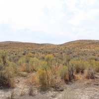 195 month  15 acres in Ryndon  Elko Nevada. Outdoor Lover Paradise images 5