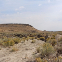 195 month  15 acres in Ryndon  Elko Nevada. Outdoor Lover Paradise