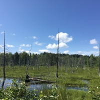 240 acres with Old Apple Orchard Hopkinton NY images 3