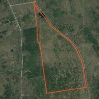 240 acres with Old Apple Orchard Hopkinton NY images 5