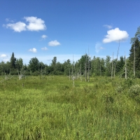 240 acres with Old Apple Orchard Hopkinton NY images 6