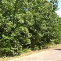 Oakleigh Subdivision Lot images 2
