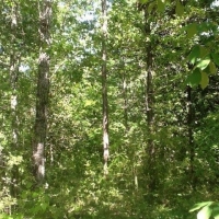 Oakleigh Subdivision Lot images 3