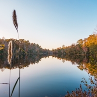 McBean Creek Timber images 2