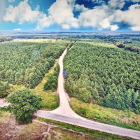 RECREATIONAL TIMBERLAND - 100 ACRES - LAFAYETTE CO  AR